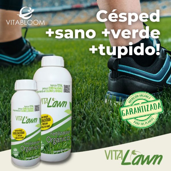VITALAWN <br>Fertilizante Orgánico <br>CONCENTRADO PARA PASTO