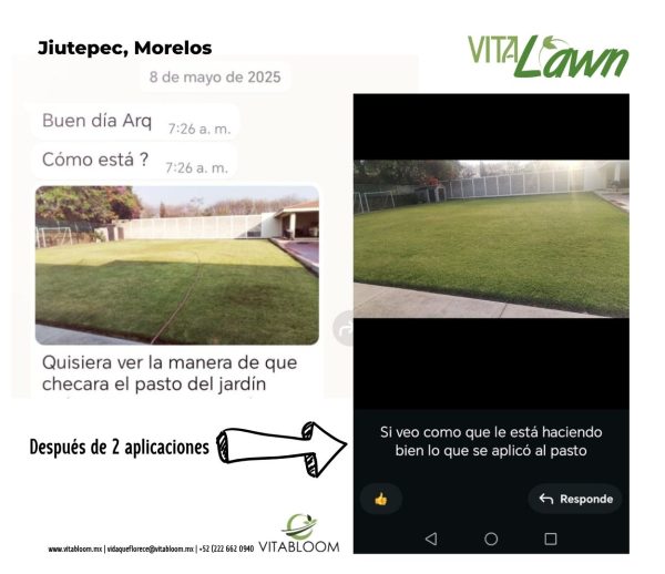 VITACESPED, Fertilizante<br>Jardines Pequeños<br>LISTO PARA APLICAR - Imagen 4