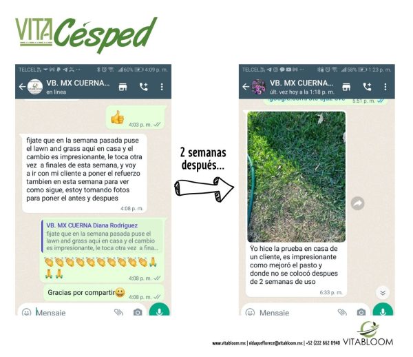 VITACESPED, Fertilizante<br>Jardines Pequeños<br>LISTO PARA APLICAR - Imagen 2