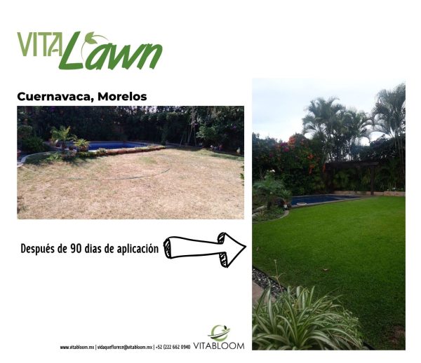 VITACESPED, Fertilizante<br>Jardines Pequeños<br>LISTO PARA APLICAR - Imagen 3
