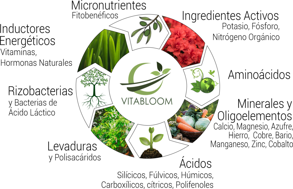 vitabloom,fertilizantes organicos,abono,enmienda,mejoradores de suelo,agricultura,jardineria,flores,plantas,pasto