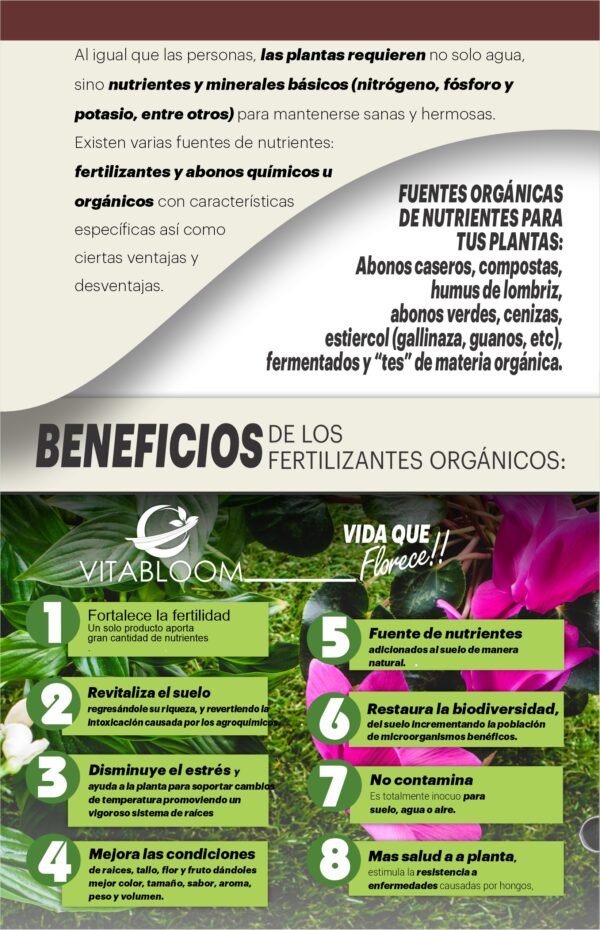 2PACK VITABLOOM, Crecimiento y Protección para Raíces Fuertes - Imagen 5