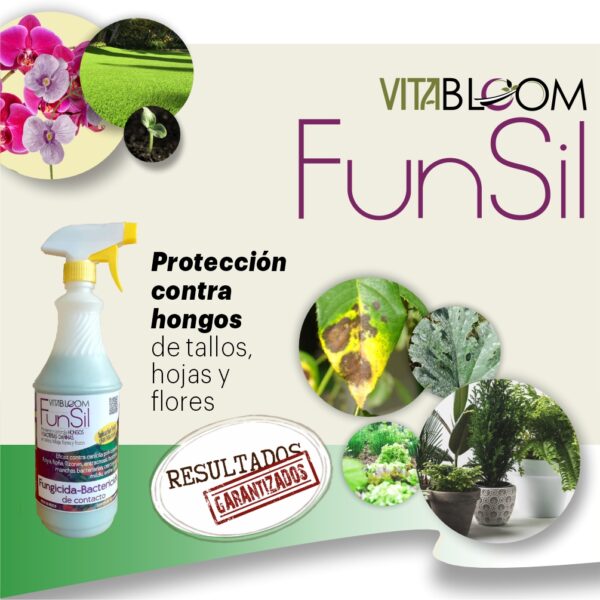 SUPER PROTECCIÓN 4PACK. Nutrición + Prevención - Imagen 3