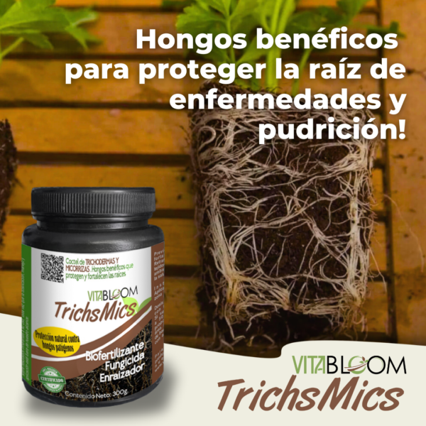 TRICHS-MICS. <br>Trichodermas y Micorrizas<br>Protección para Raices
