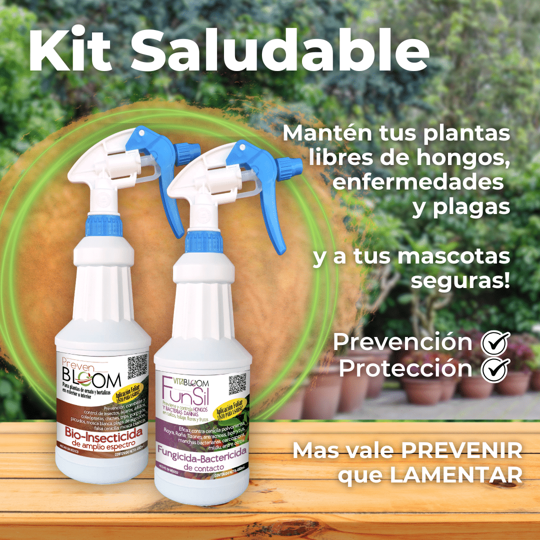 Kit Plantas Saludables