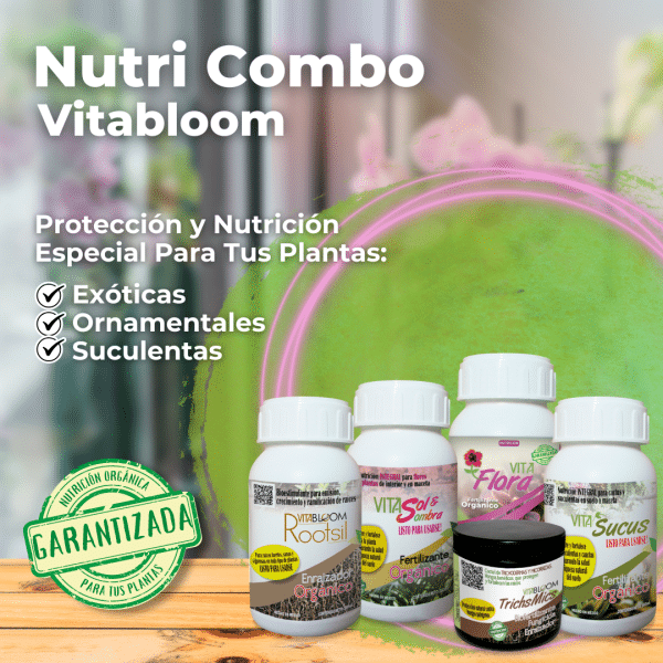 Nutri Combo Exóticas, Suculentas, Ornamentales