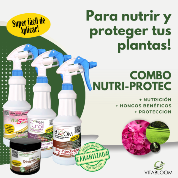 SUPER PROTECCIÓN 4PACK. Nutrición + Prevención
