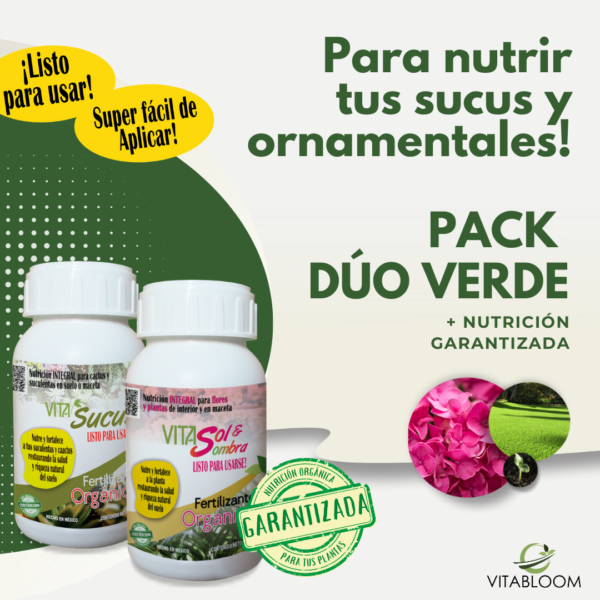 Pack Dúo Verde <br>ORNAMENTALES y <br>SUCULENTAS