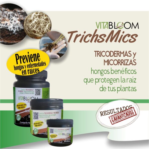SUPER PROTECCIÓN 4PACK. Nutrición + Prevención - Imagen 2