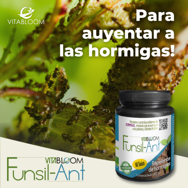 FUNSIL-ANT. Fungicida y Repelente Natural de Hormigas