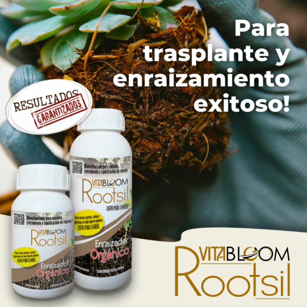ROOTSIL, Ideal para<br> Traslantar y Enraizar. <br>¡Óptimos Resultados!
