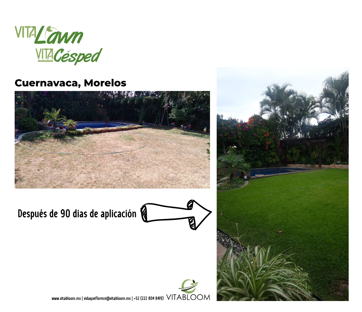 Nutrición Jardines Pequeños VITACESPED - Imagen 4