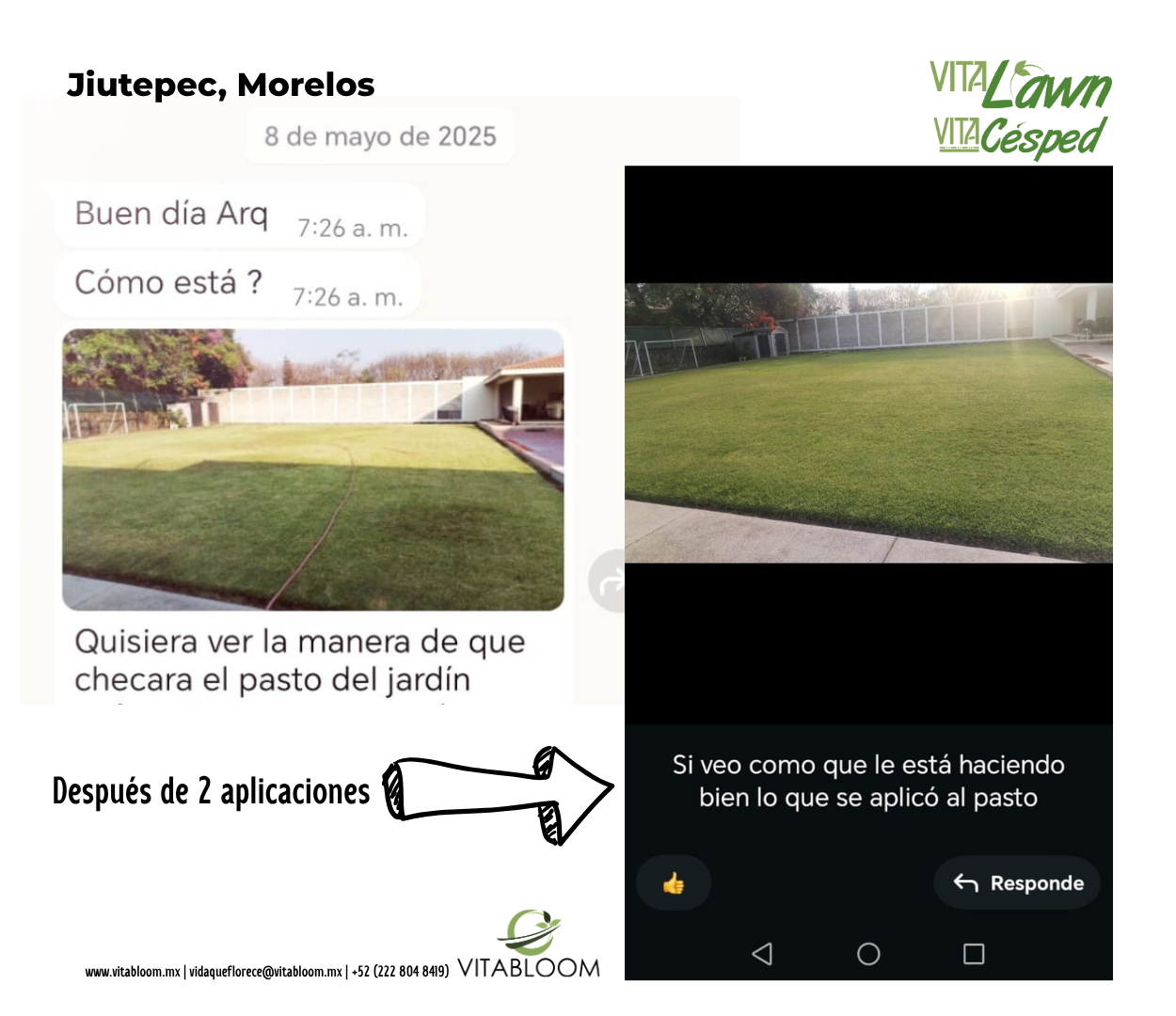 Nutrición Jardines Pequeños VITACESPED - Imagen 5