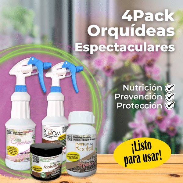 4PACK Orquídeas Espectaculares