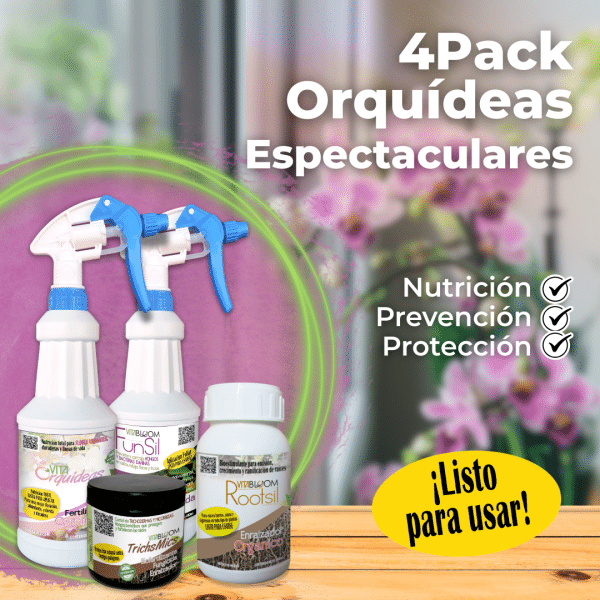 4PACK Orquídeas Espectaculares