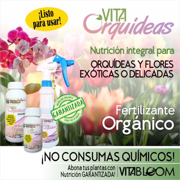 3PACK Nutrición <br>+ Hormonas Naturales <br>+ Protección de Raíz - Imagen 3