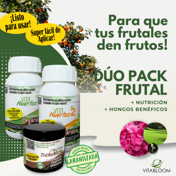 Kit FRUTAL VITABLOOM.<br> Nutrición <br>+ Fortalecimiento