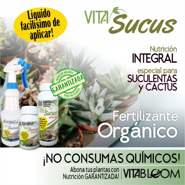 Dúo Pack<br> Antihongos + <br>Nutrición Garantizada - Imagen 2