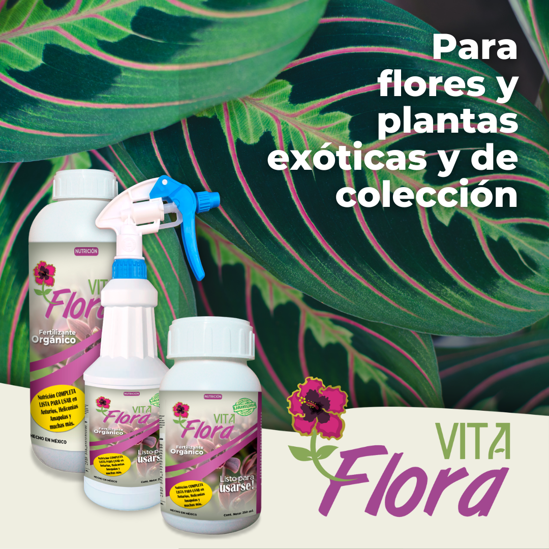 Nutrición Para Plantas Exóticas
